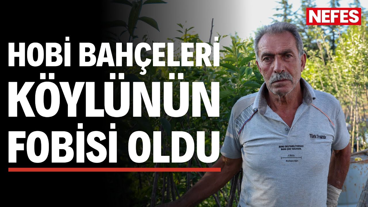 Hobi bahçeleri tarımı ve köy huzurunu tehdit ediyor