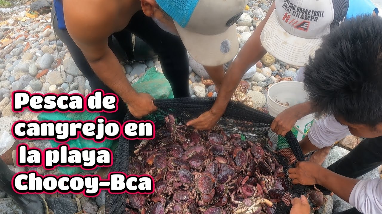 Pesca de Cangrejo en la playa Chocoy