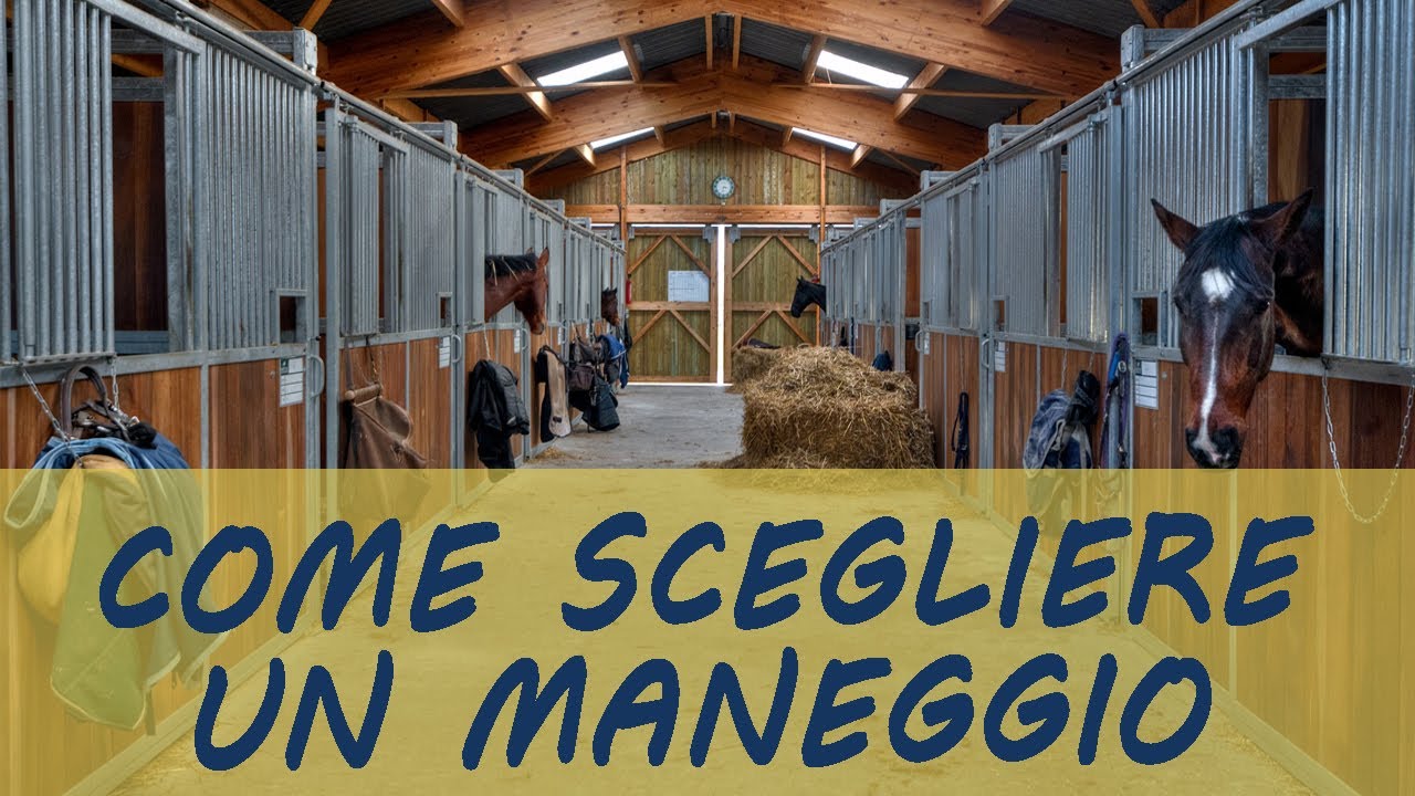 Come scegliere il maneggio ideale
