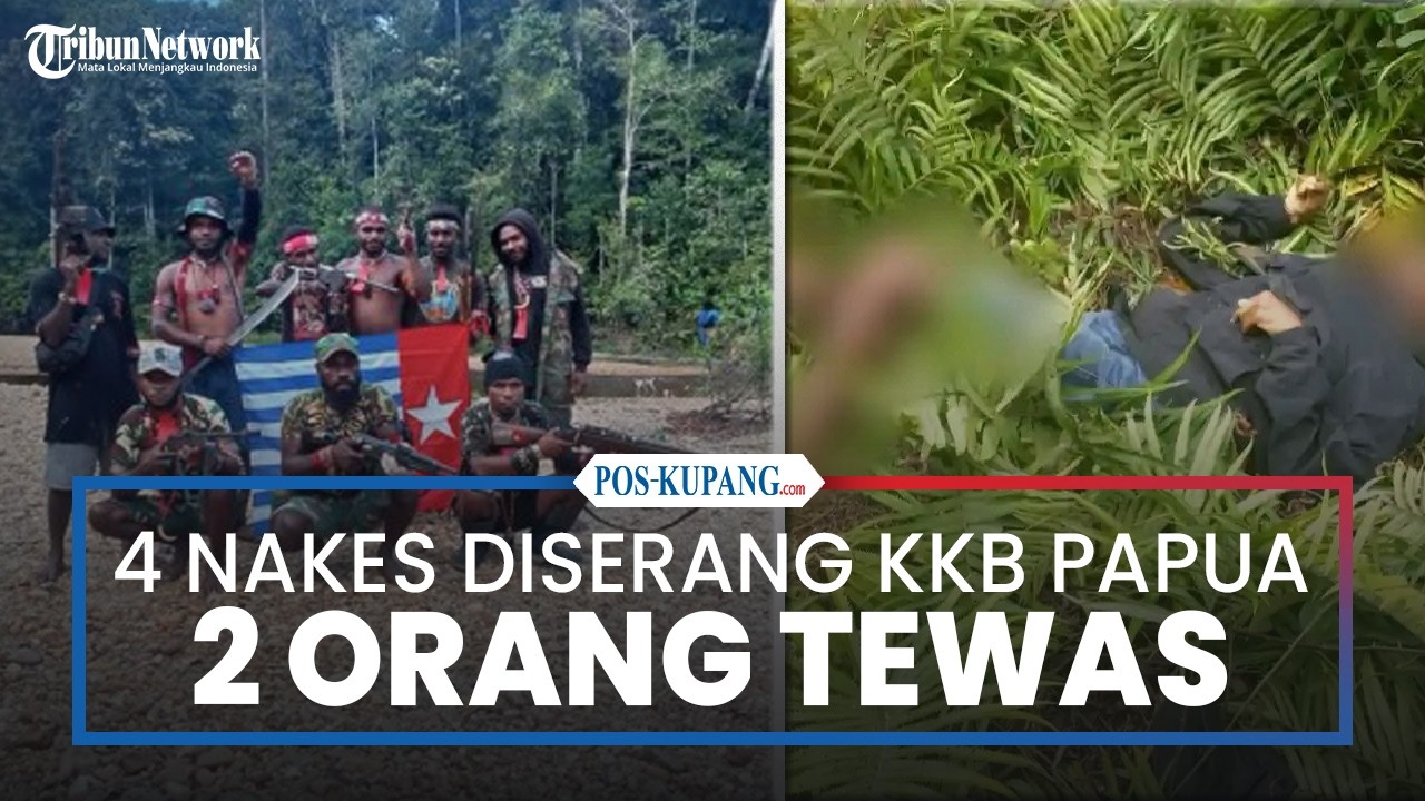 4 Nakes Diserang KKB di Tambrauw, 2 Tewas 2 Selamat Lari ke Pos TNI