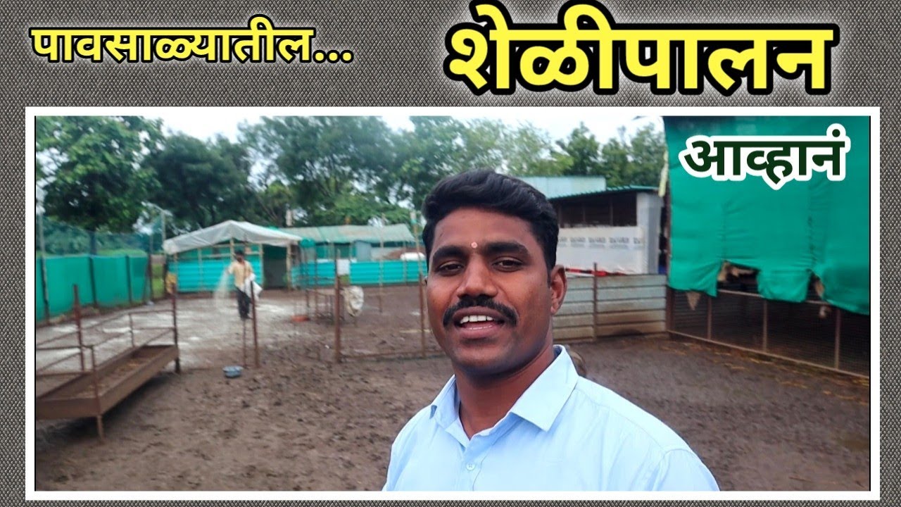 खरे शेळी पालनाचे आव्हान म्हणजे पावसाळा!  