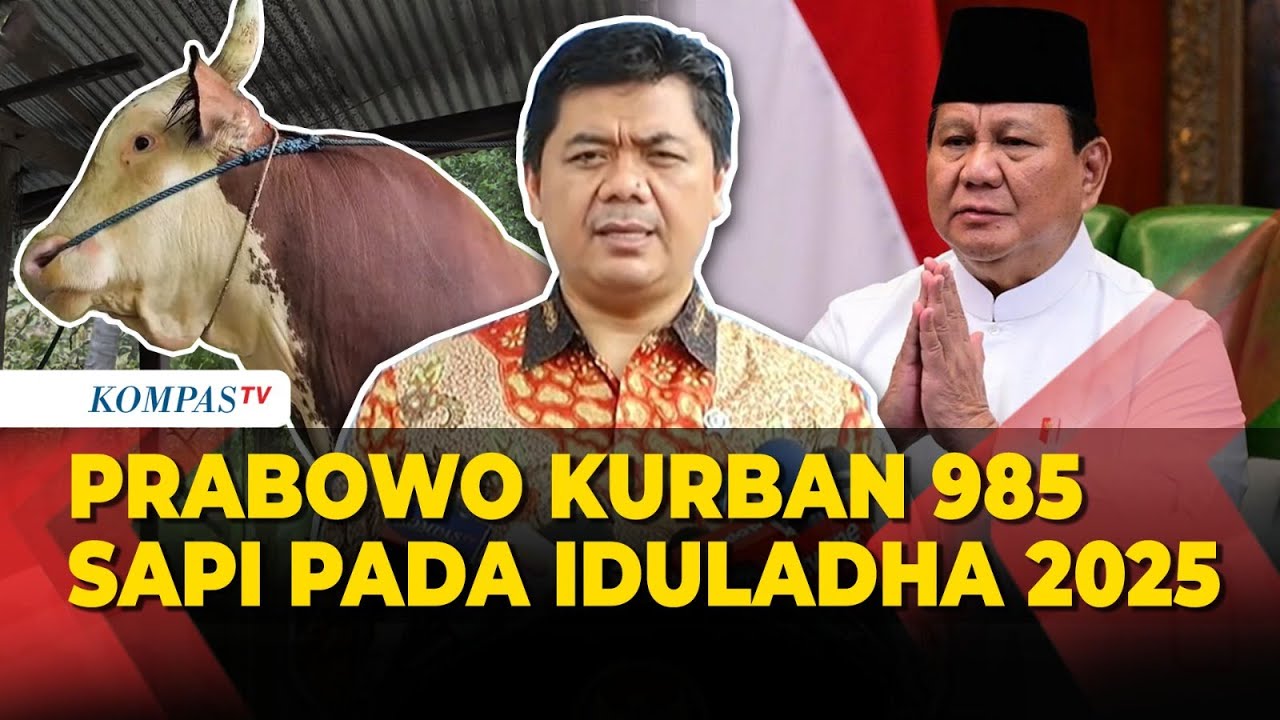 Prabowo Kurban 985 Sapi pada Iduladha 2025, Terberat 1,3 Ton