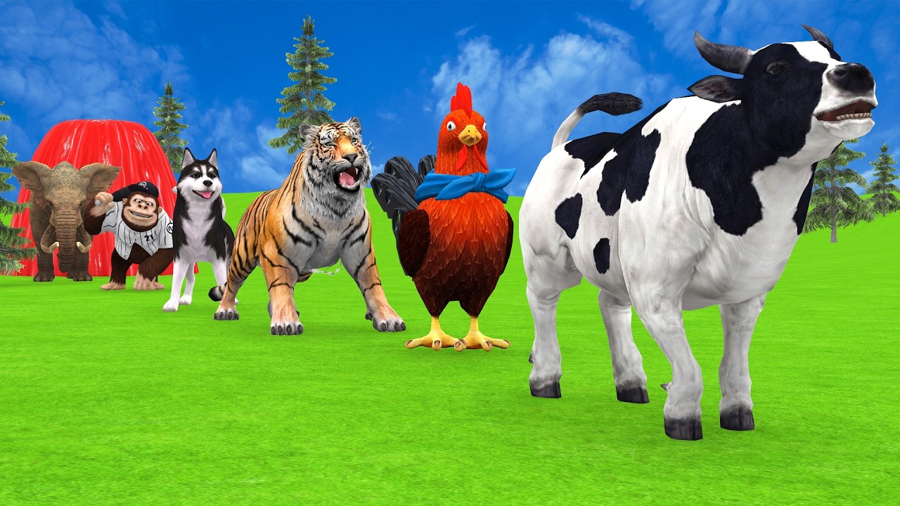 Long Slide Game With Cow Elephant Gorilla Hippopotamus Tiger 3d Animal Game Funny 3d Animals