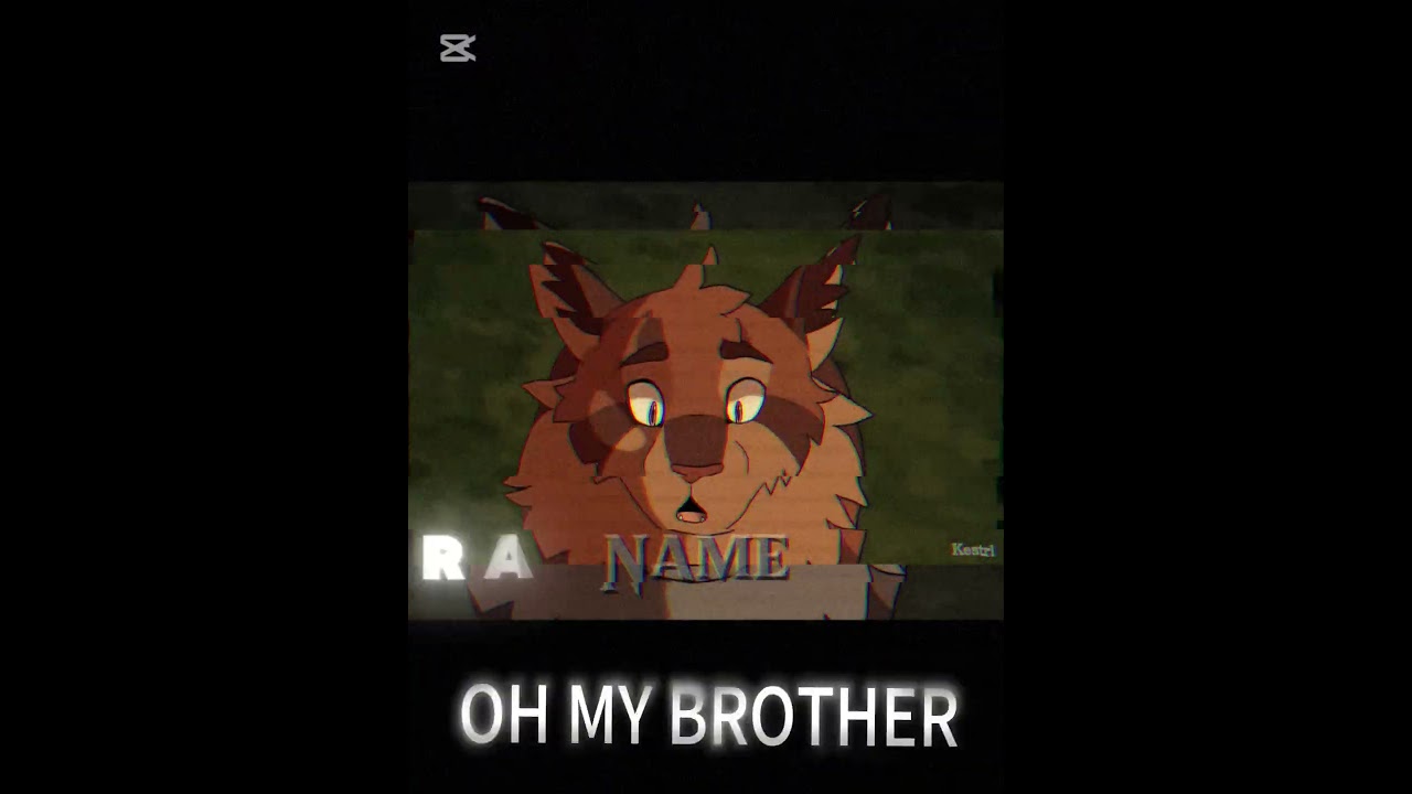 Brambleclaw and Hawkfrost | Warrior cats edit The sons of Tigerstar 