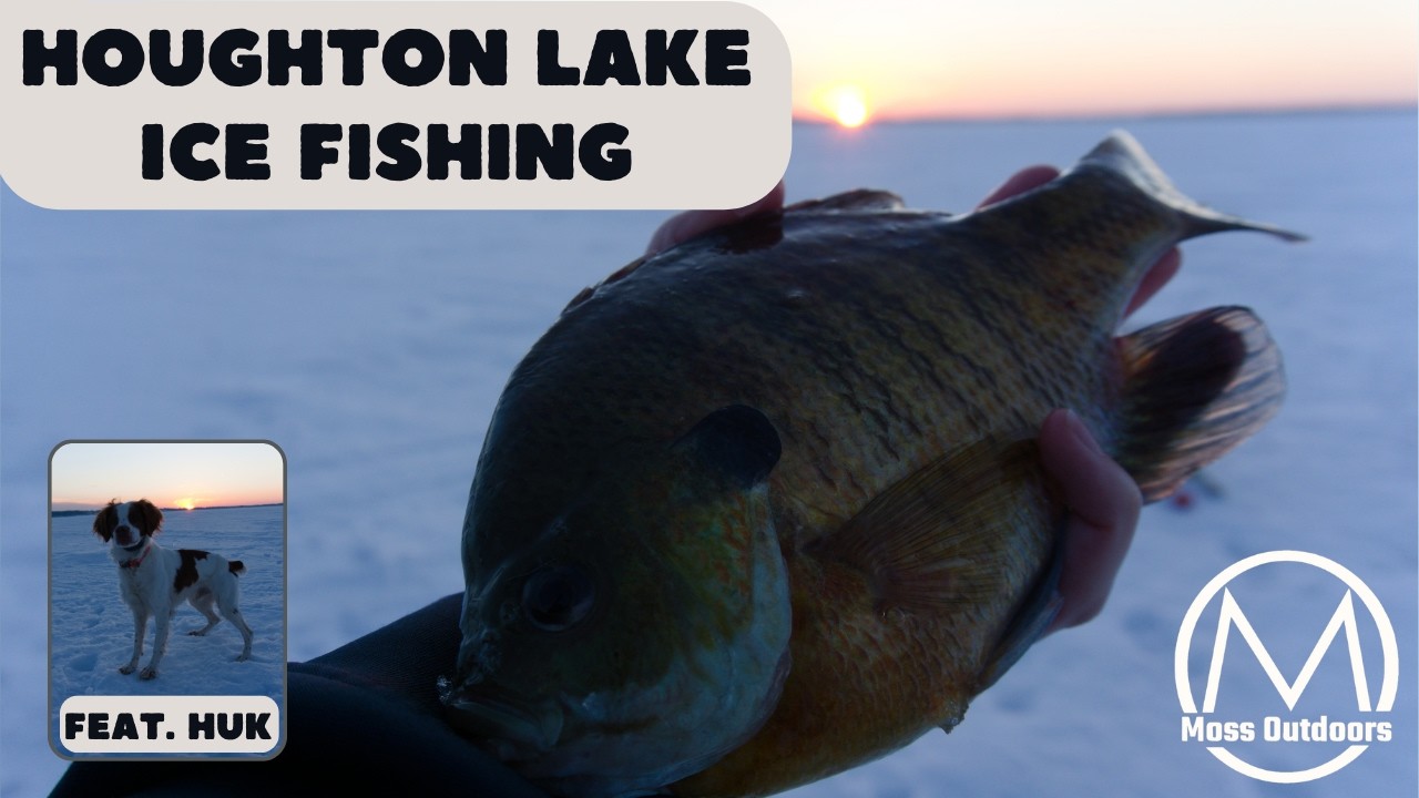 HOUGHTON LAKE ICE FISHING-GIANT BLUEGILL, PIKE, AND MORE (2026 Michigan Ice Fishing)