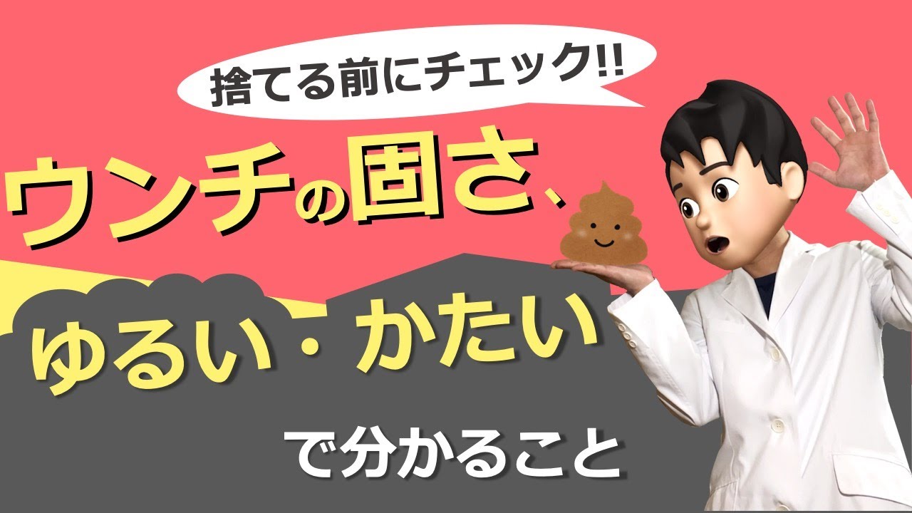 【犬猫のうんち】『ゆるい・かたい』で分かること