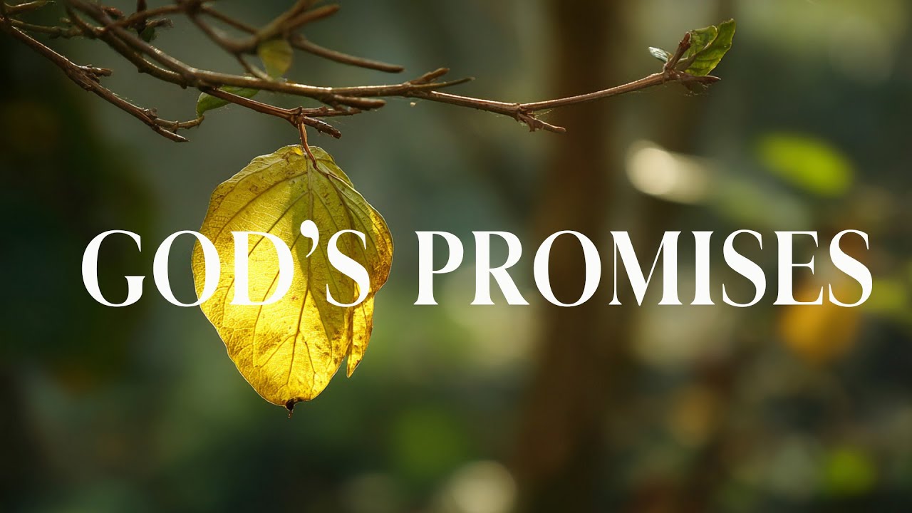 GOD'S PROMISES - Soaking Prayer Music | Instrumental for Prayer, Devotion, Peace, Meditation