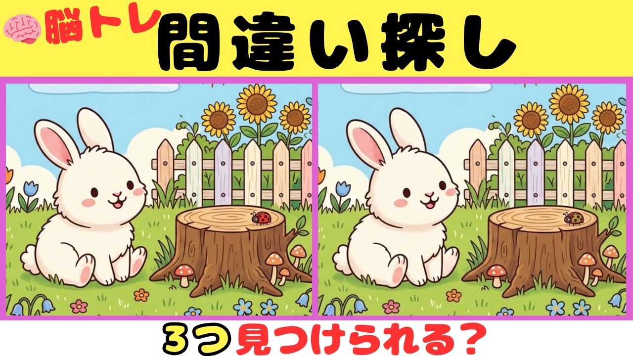 【間違い探しクイズ】見つけたら天才！！３つの間違いを探そう【脳トレ】#46