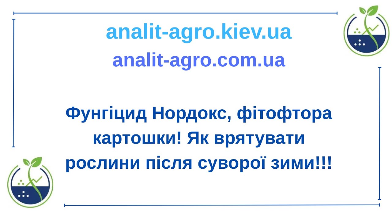 Фунгіцид Нордокс,фітофтора картошки!Як врятувати рослини після суворої зими!!!