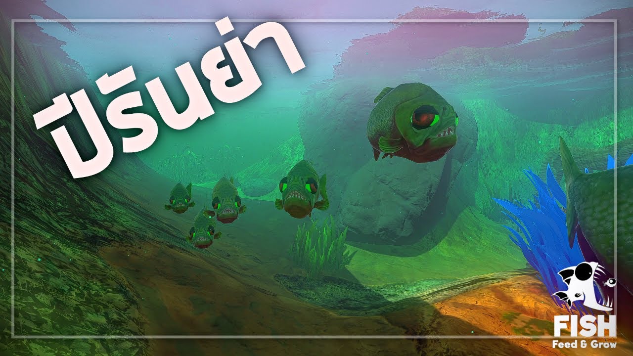 ปีรันย่า  - Feed and grow fish  [อย่ากินช้านนนน ]