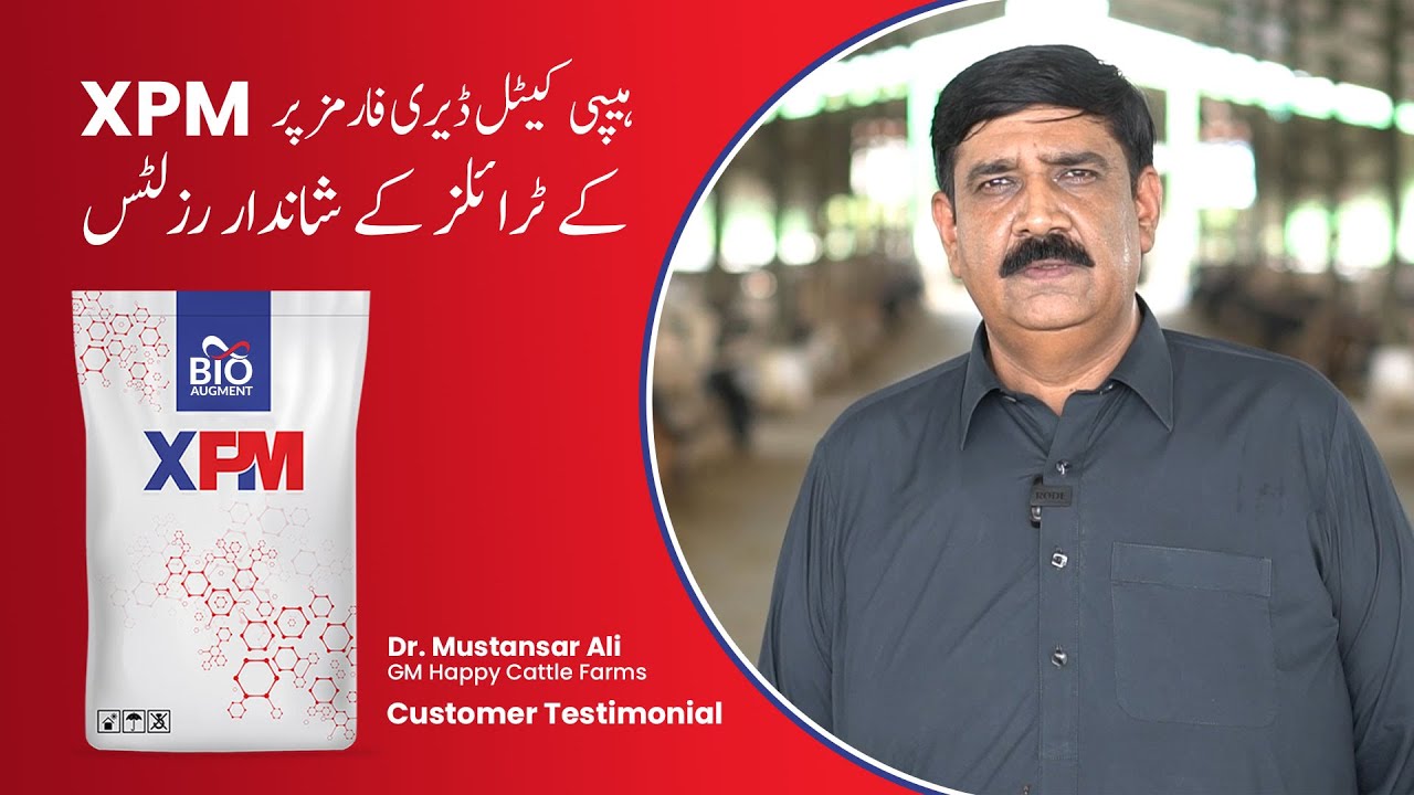 BioAugment XPM Success Story - Happy Cattle Farms