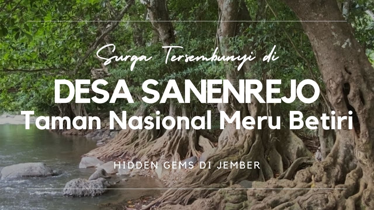 SURGA TERSEMBUNYI DI TAMAN NASIONAL MERU BETIRI, DESA SANENREJO, KAB JEMBER • SUNGAI KEDUNG MAYIT