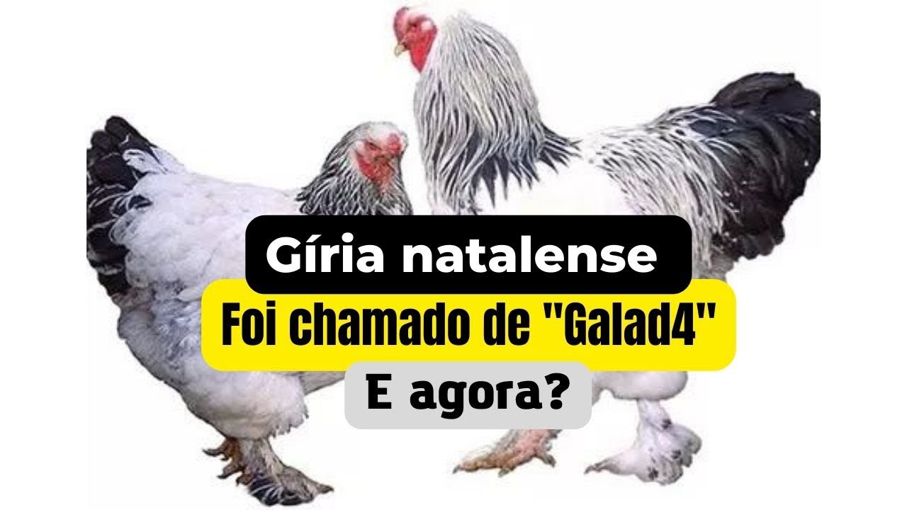 Contexto hist&oacute;rico e significado desta g&iacute;ria t&atilde;o natalense!