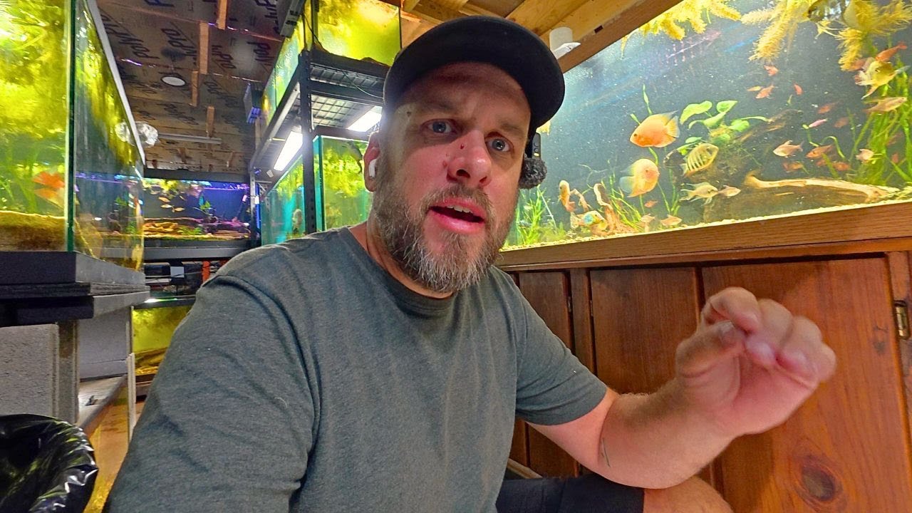 What it Really Takes to Run a Big Fish Room - 14 Hours of Maintenance