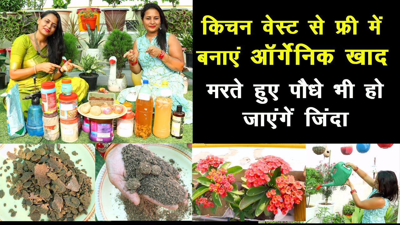 किचन वेस्ट से बनाएं ऑर्गेनिक खाद🌿 मरते हुए पौधे भी हो जाएंगे जिंदा 🥰|| Unique Farming