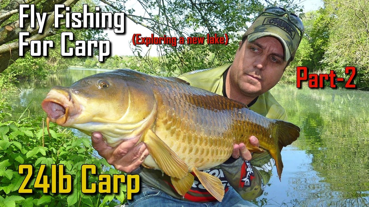 Fly fishing for Carp Part 2 (My biggest Carp on a fly))