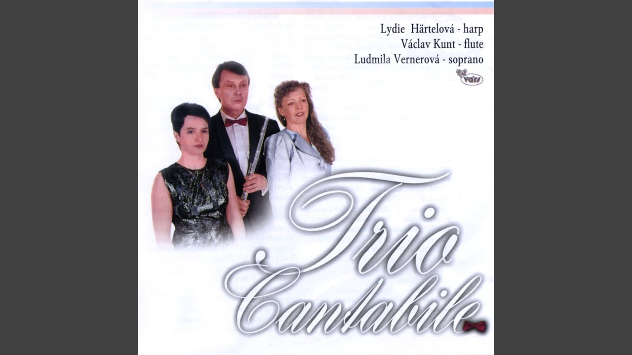 Meine Seele hört im Sehen, HWV 207
