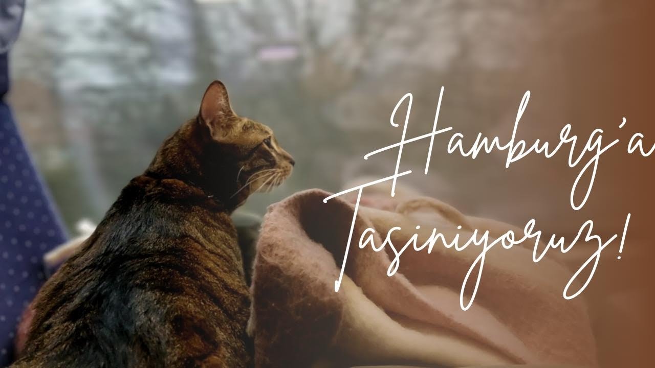 HAMBURG'A TASINIYORUZ! 