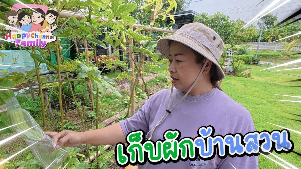 แม่เดือนเก็บผัก บ้านสวน HappyChannel Family
