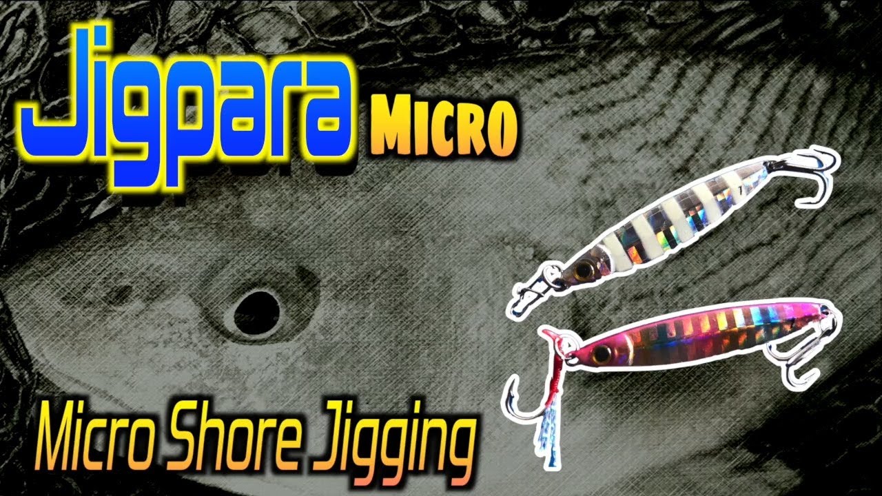 [Major Craft Jigpara Micro SLIM 7g] How to catch fish? [Micro Shore Jigging]