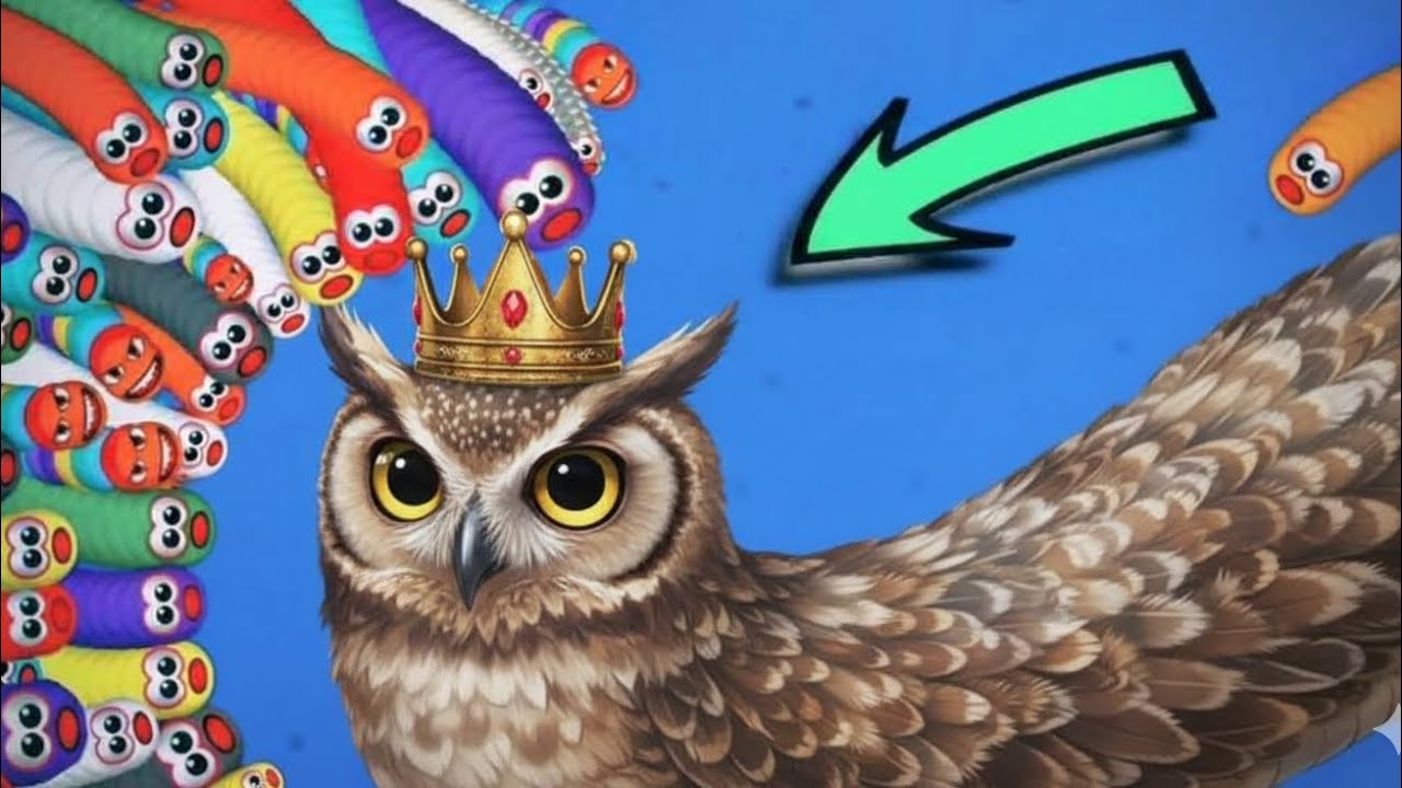Owl in action by trapping and eating worm