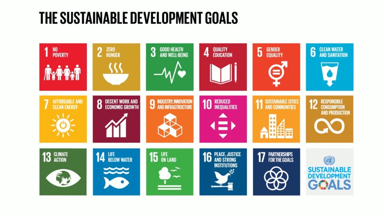 Do you know all 17 SDGs?