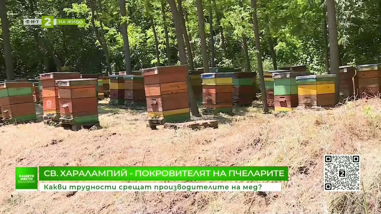 Какви са проблемите на производителите на мед у нас? Нашето място България - 10.02.2026
