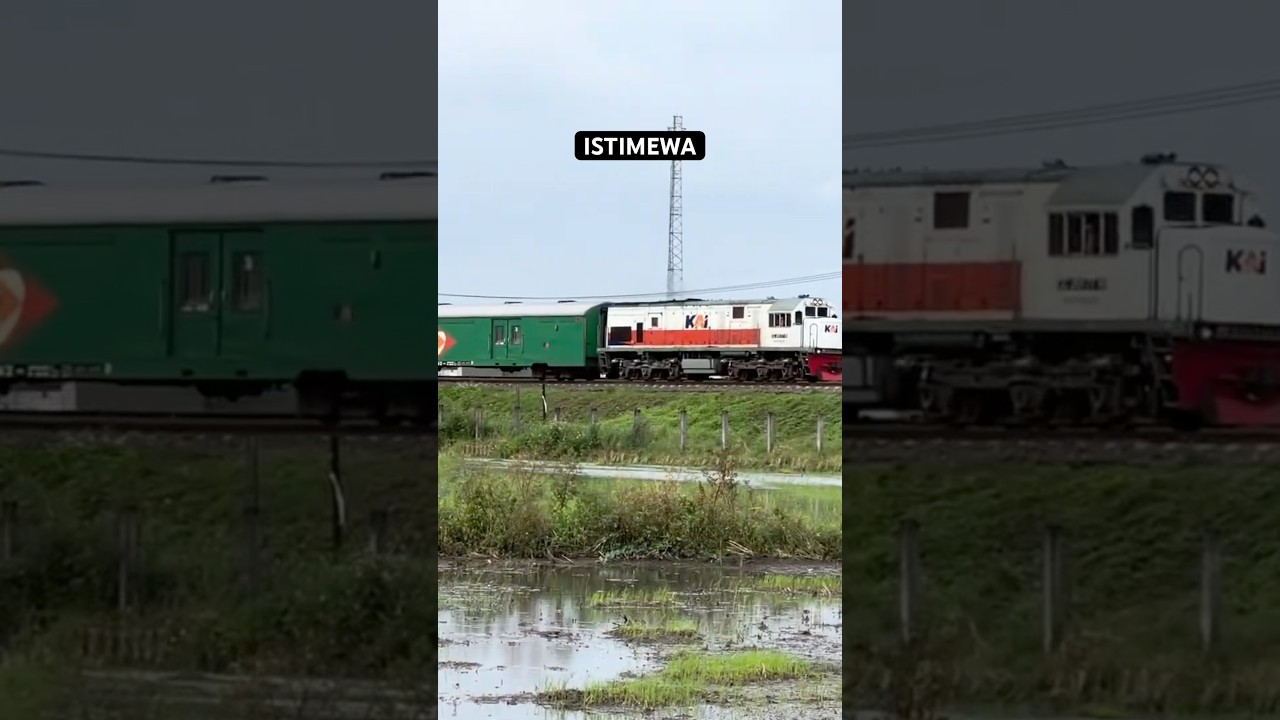 KA Sritanjung Ketapang-Lempuyangan #keretaapi #mamatonduty