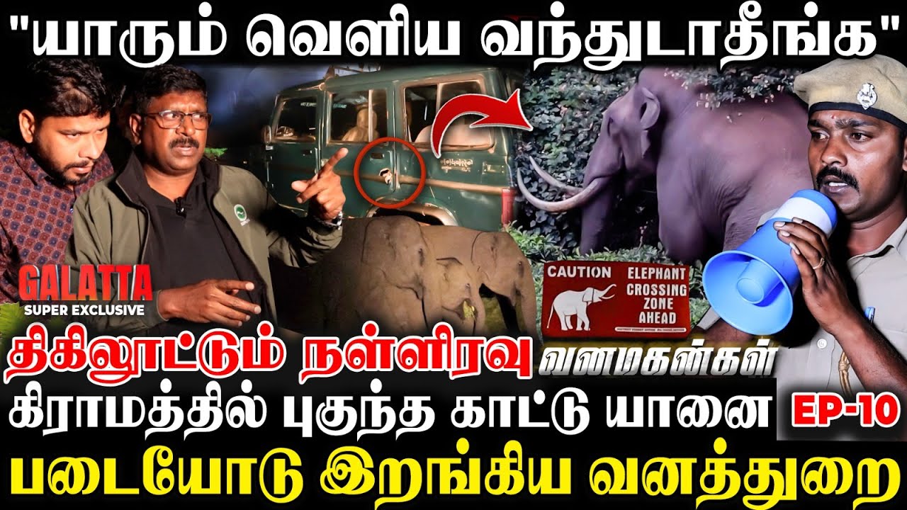 100 யானை நம்மல சுத்தி நிக்குது சார்🐘😰காரை தும்சமாக்கிய காட்டுயானை🐅Gudalur திக்திக் Visit | EP-10