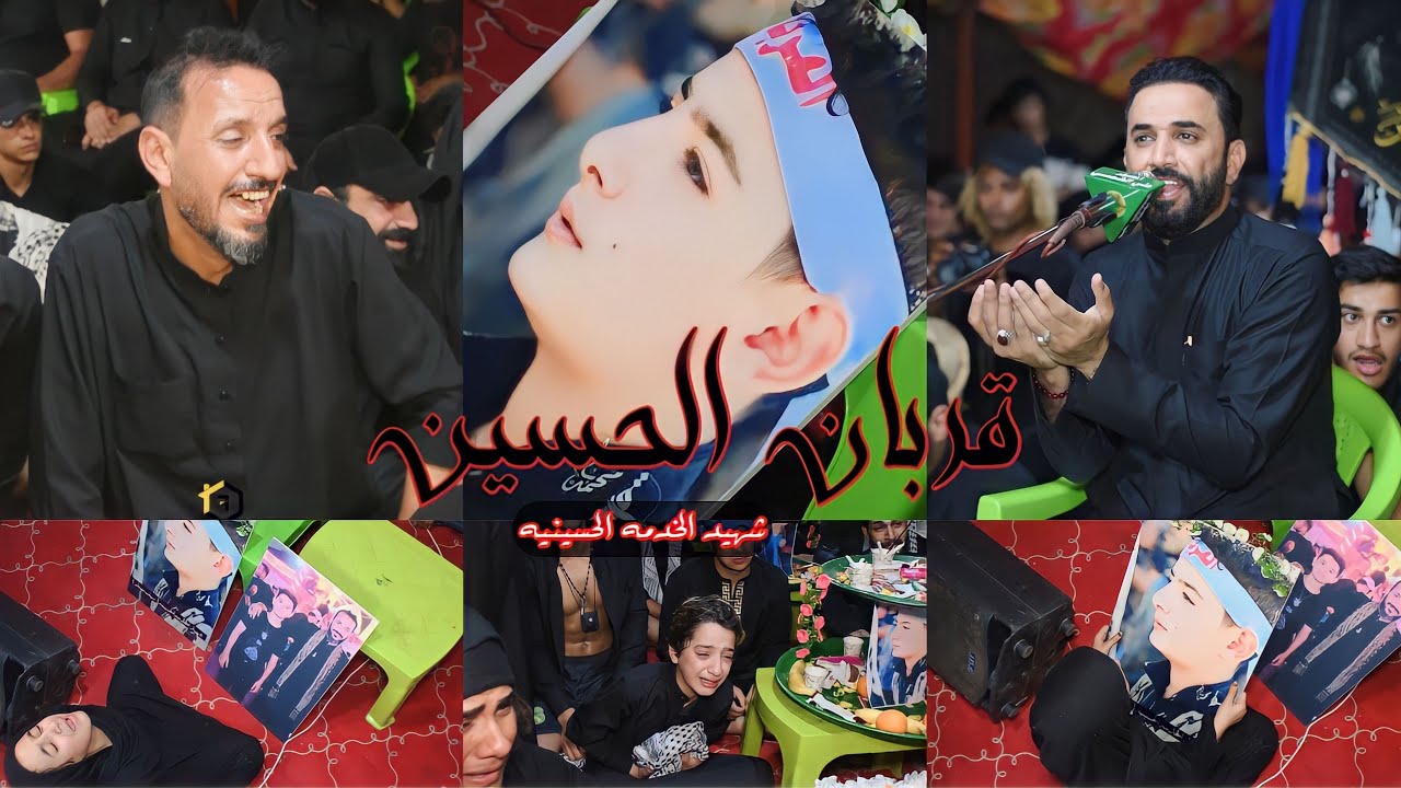 اقوه نعي يكطع الكلب || الناعي حيدر الربيعي || عزاء شهيد الخدمه الحسينيه سيف مهند المحمداوي