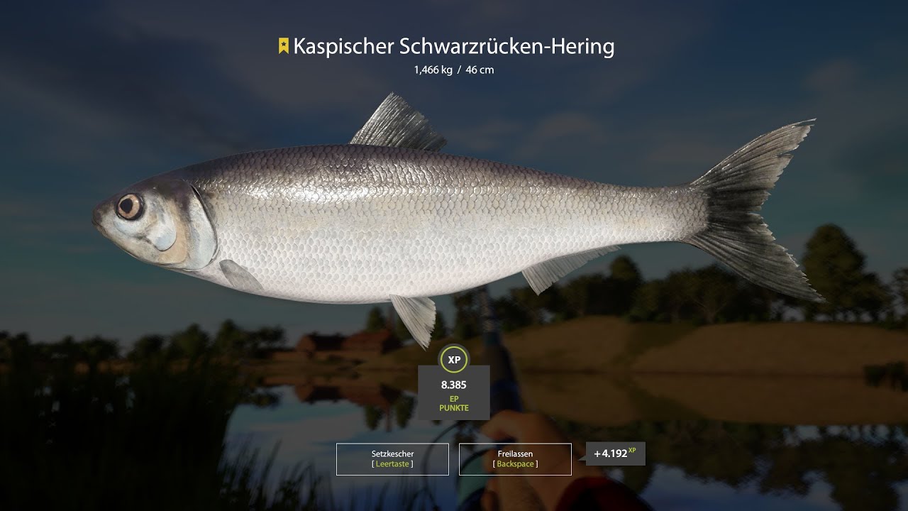 Russian Fishing 4.  Sonntagstest an der Achtuba