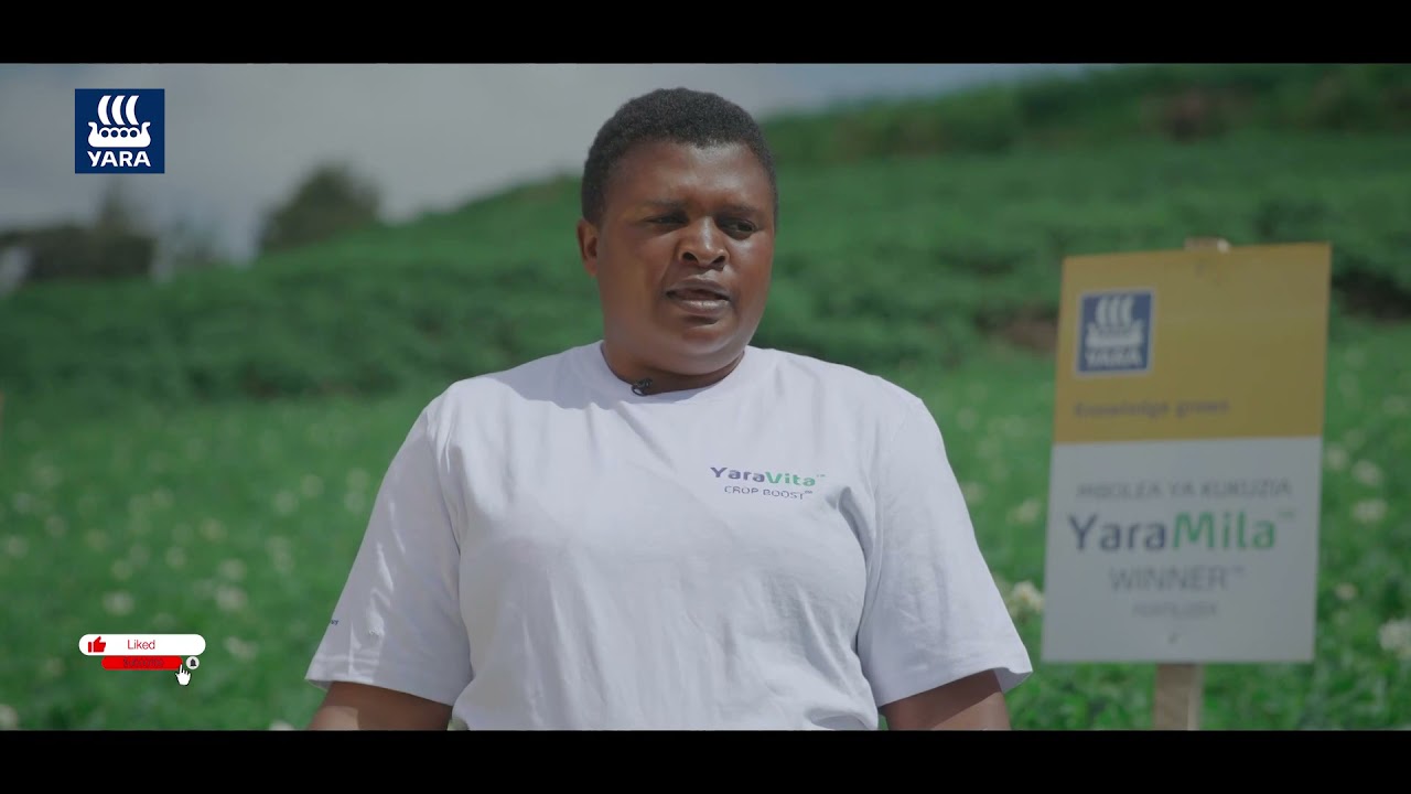 Shiriki upate ujuzi wa kilimo bora cha viazi,Jifunze hapa.