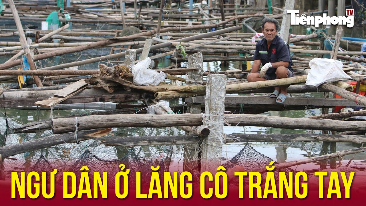 Ngư dân ở Lăng Cô trắng tay | Tiền Phong