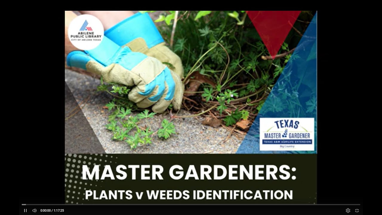 Weed Control in Home Lawns
