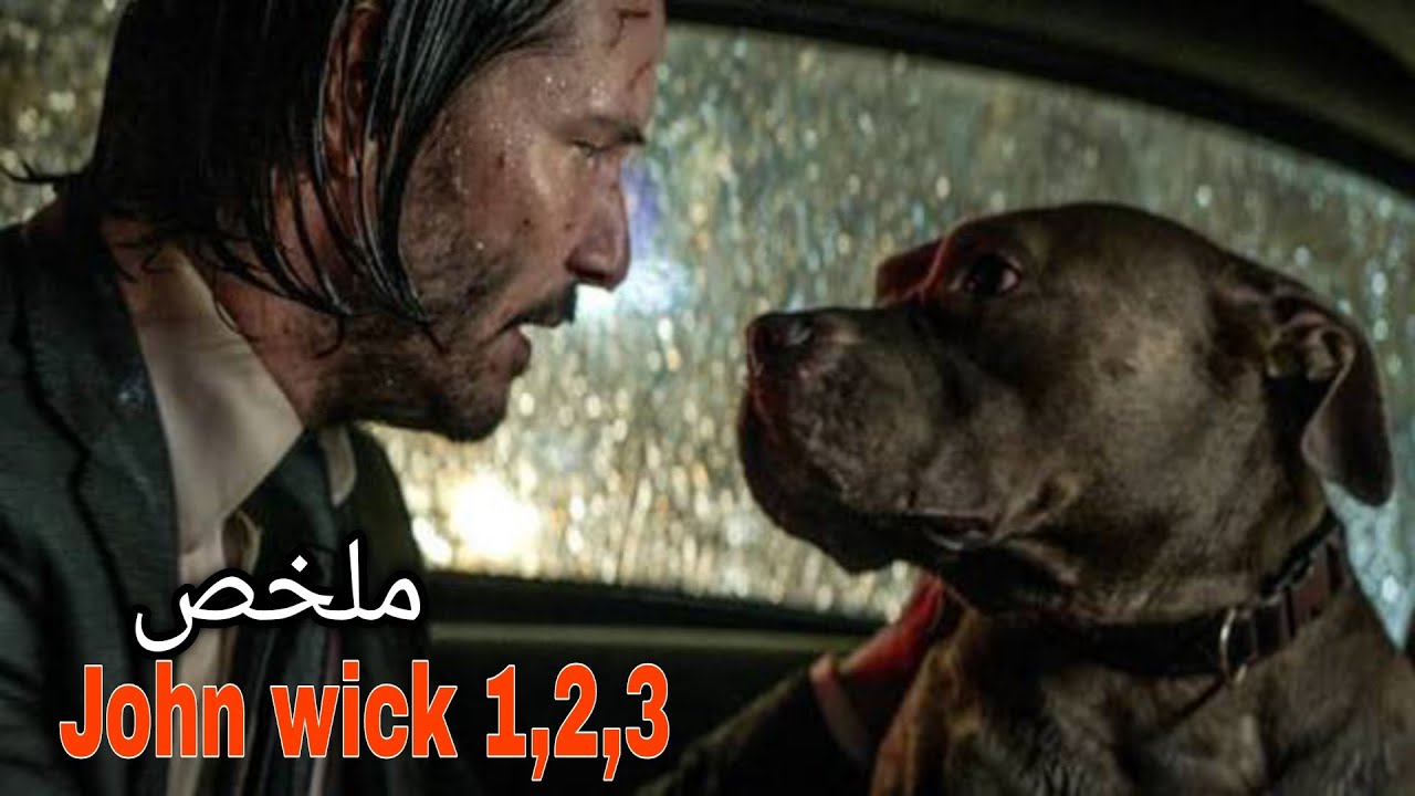 من أجل كلب… بدأت المذبحة 🐕🔥 | تلخيص ثلاثية John Wick
