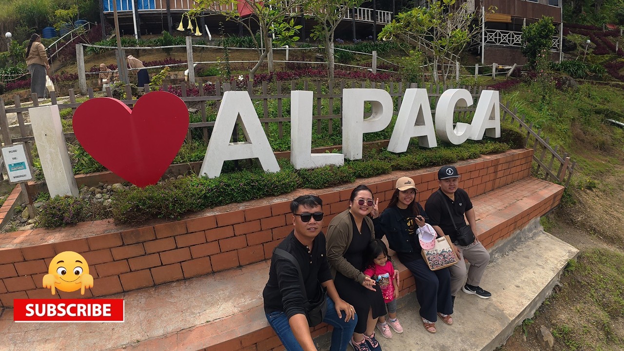 Visit Alpaca Club Kundasang..//