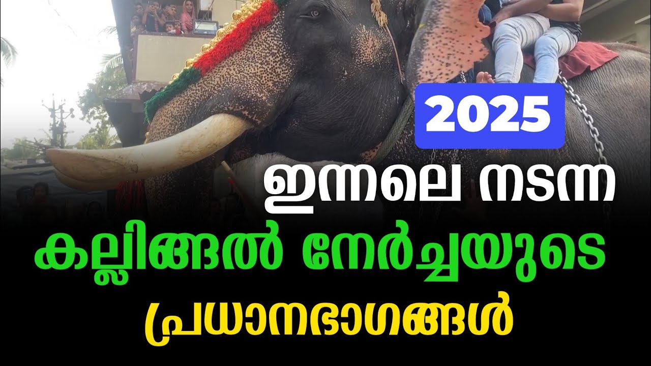 Kallingal nercha 2025 || tirur kallingal nercha new video