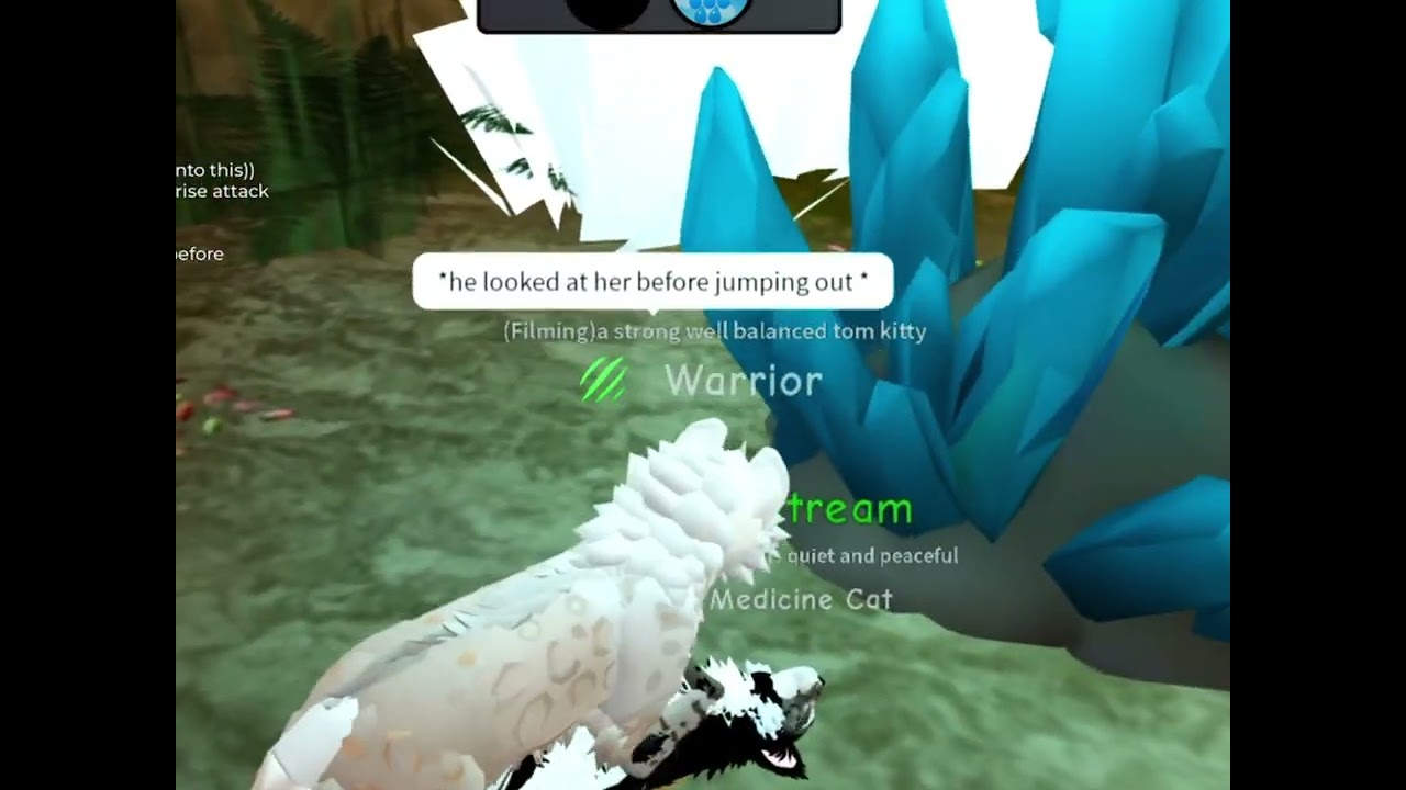 Med x warrior (WCUE HEAT 15+)