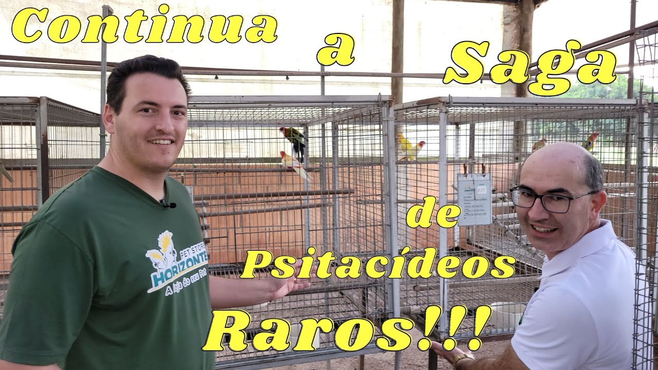 SP com Ampligen,Criadouro Horizonte e Seus Psitacideos Fantásticos!!!