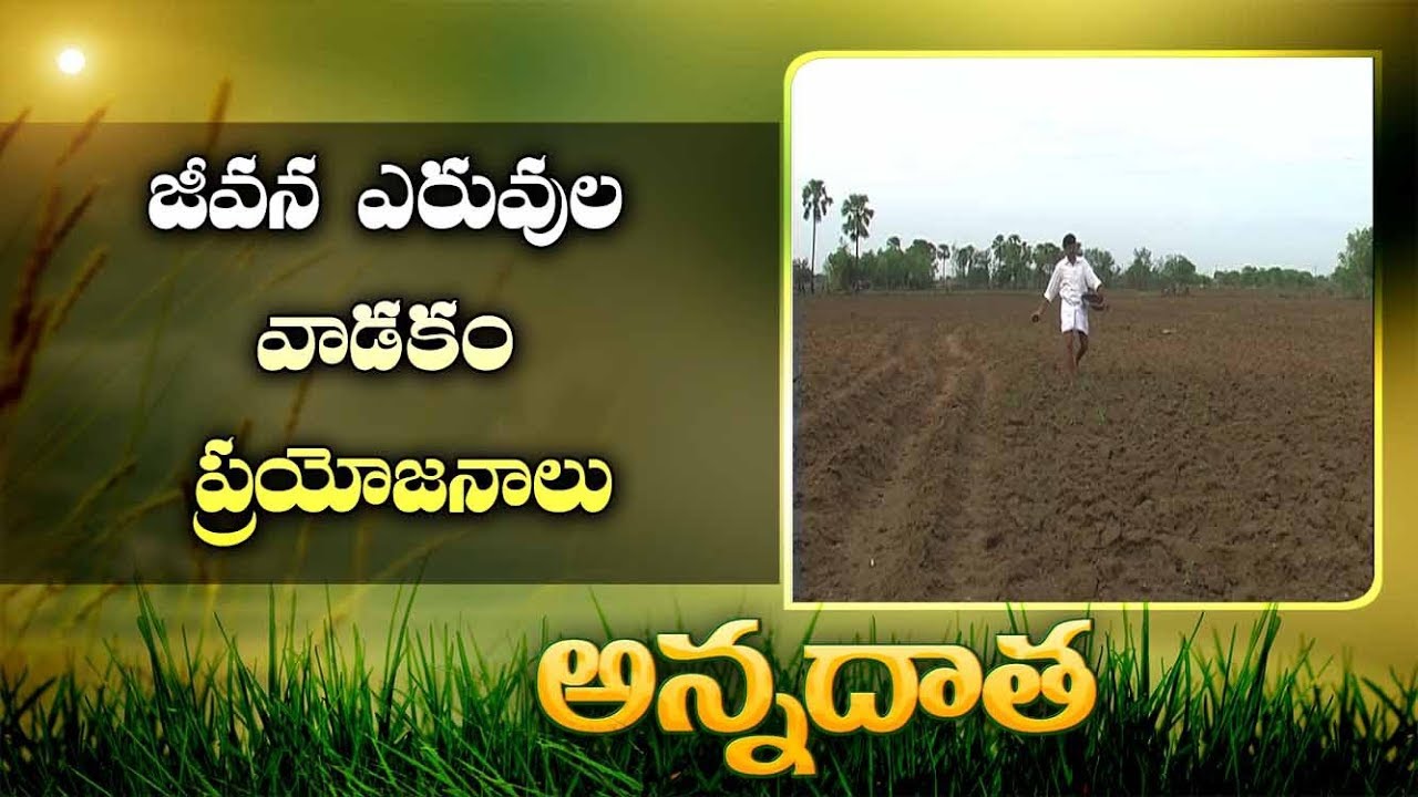 Usage Of Bio Fertilisers || EtvAnnadata