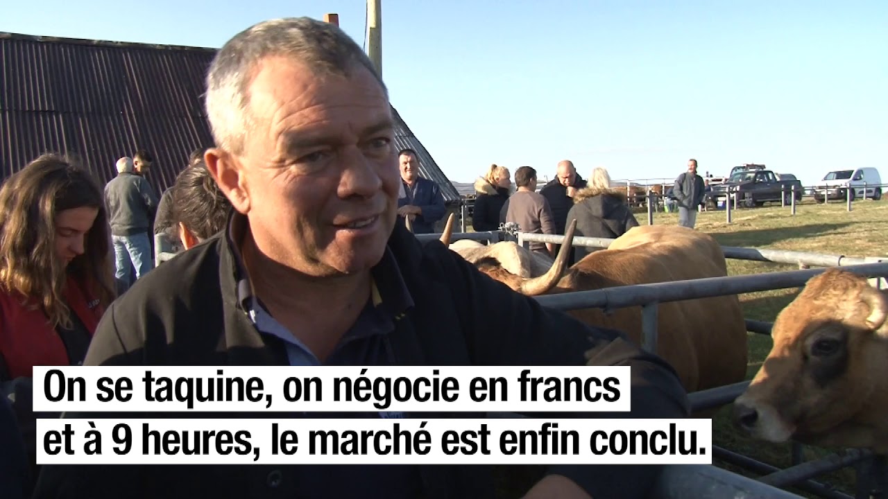 A Brion, on négocie les bêtes comme avant!