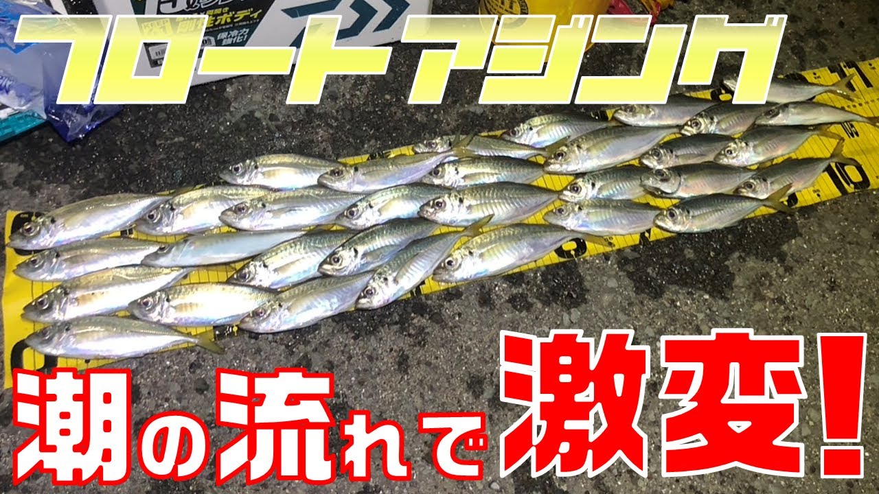 【フロートアジング入門②】潮の流れを理解するとアジは釣れます＜大阪湾釣り＞