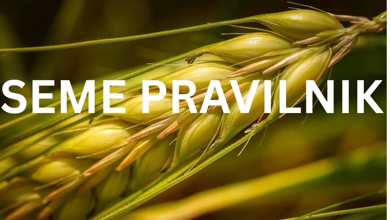 Pravilnik za sertifikovano seme