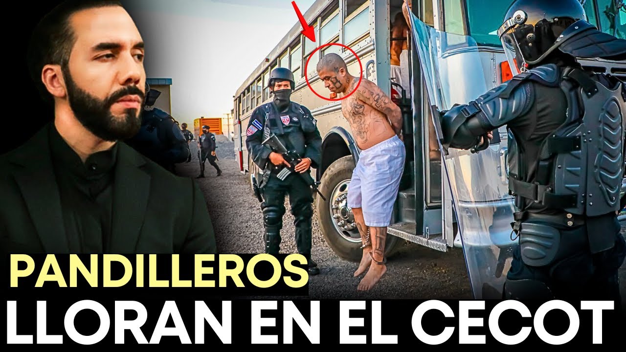 EL SALVADOR HOY 🔴 La PNC Captura a PELIGROSOS PANDILLEROS en Operativo NOCTURNO  - EL SALVADOR