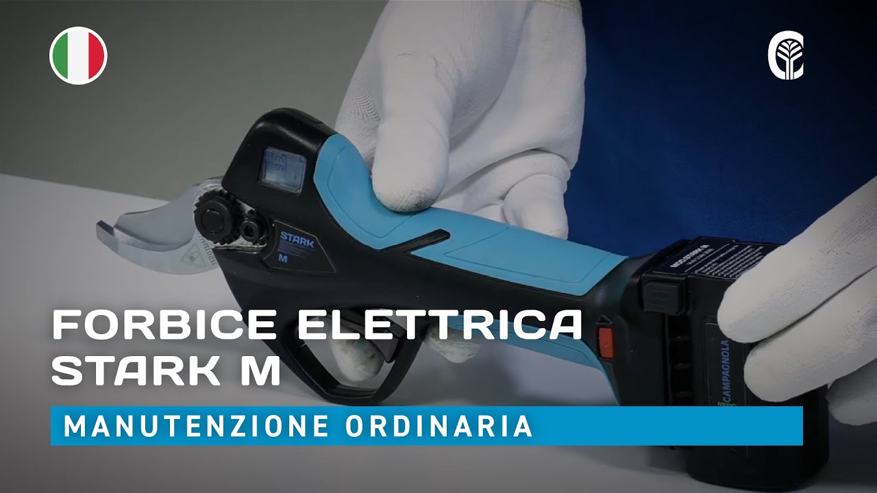 🇮🇹 Manutenzione ordinaria: CAMPAGNOLA STARK M