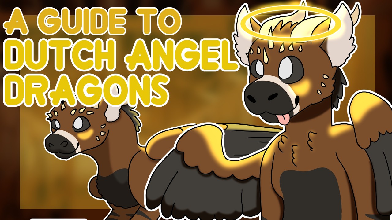 Краткое руководство по голландским ангельским драконам