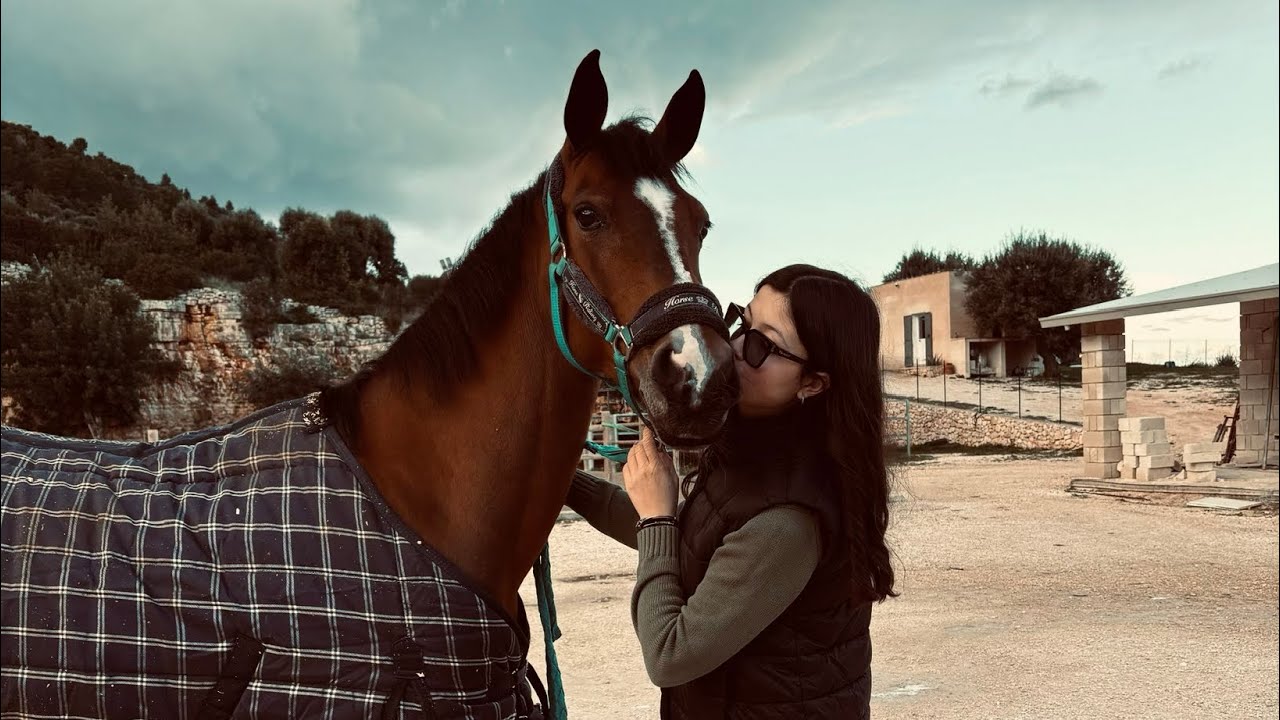 Vlog in maneggio | Giornata piovosa 🌧️❤️