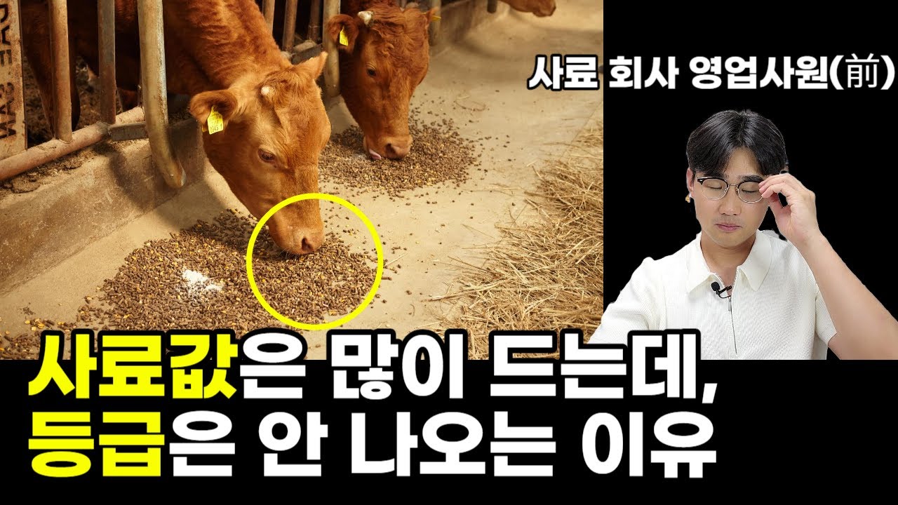 ”저희 집 소한테는 이렇게 안 하죠”  사료 회사에서 말해주지 않는 진실