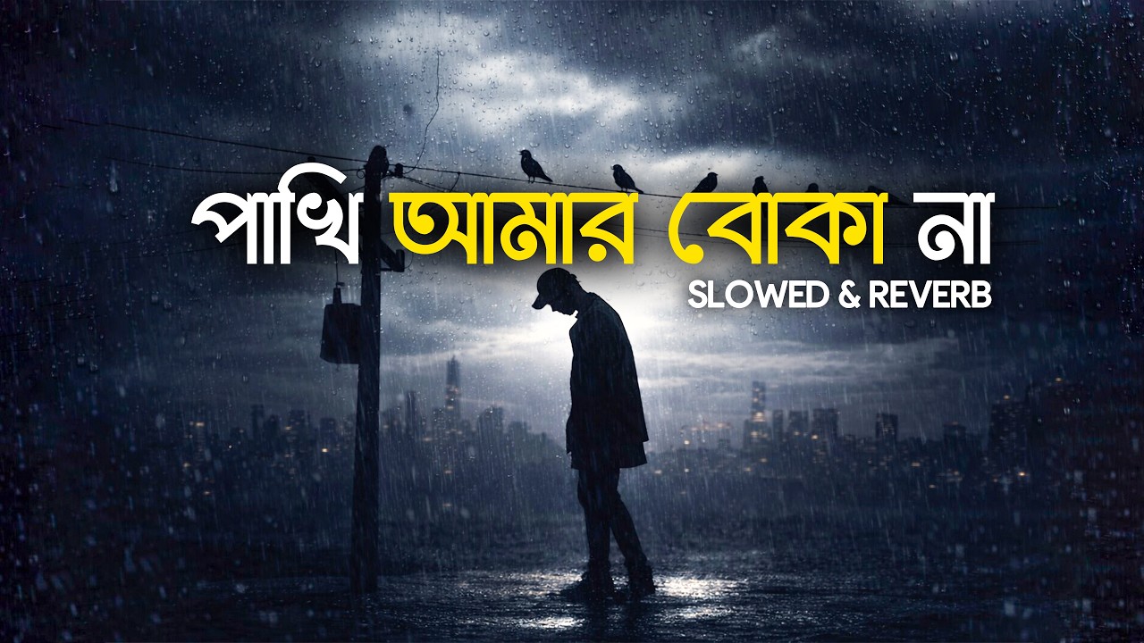 Pakhi Amar Boka Na | পাখি আমার বোকা না | Lofi Remix | Atif Ahmed Niloy | Bangla Song 2026