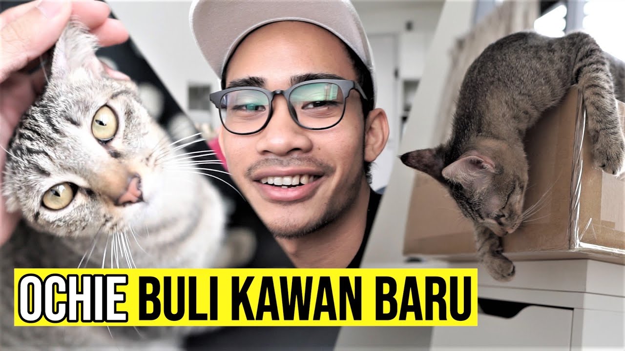 VLOG: Ochie Dah Ada Kawan Baru Kat Rumah